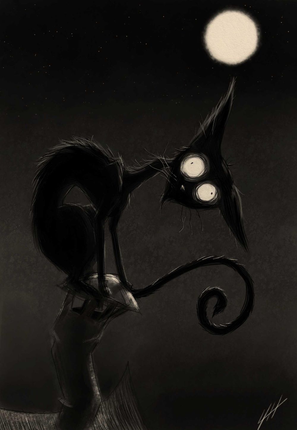 Cat styles - image 1 - student project