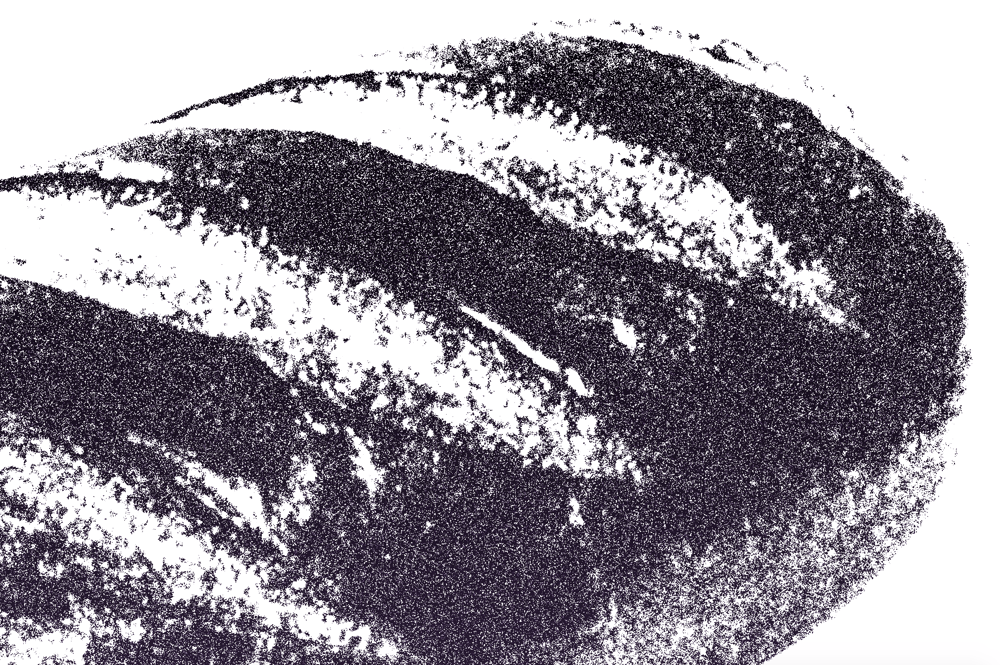 bready - image 2 - student project