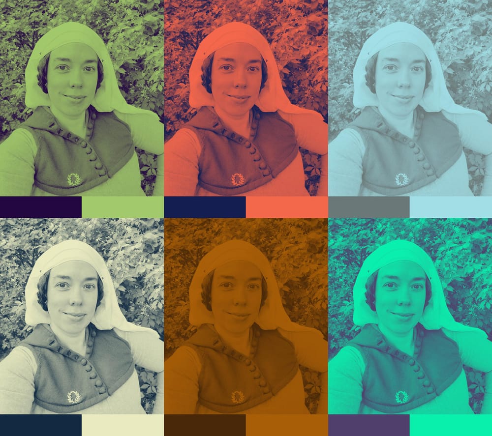 Duotones - image 2 - student project
