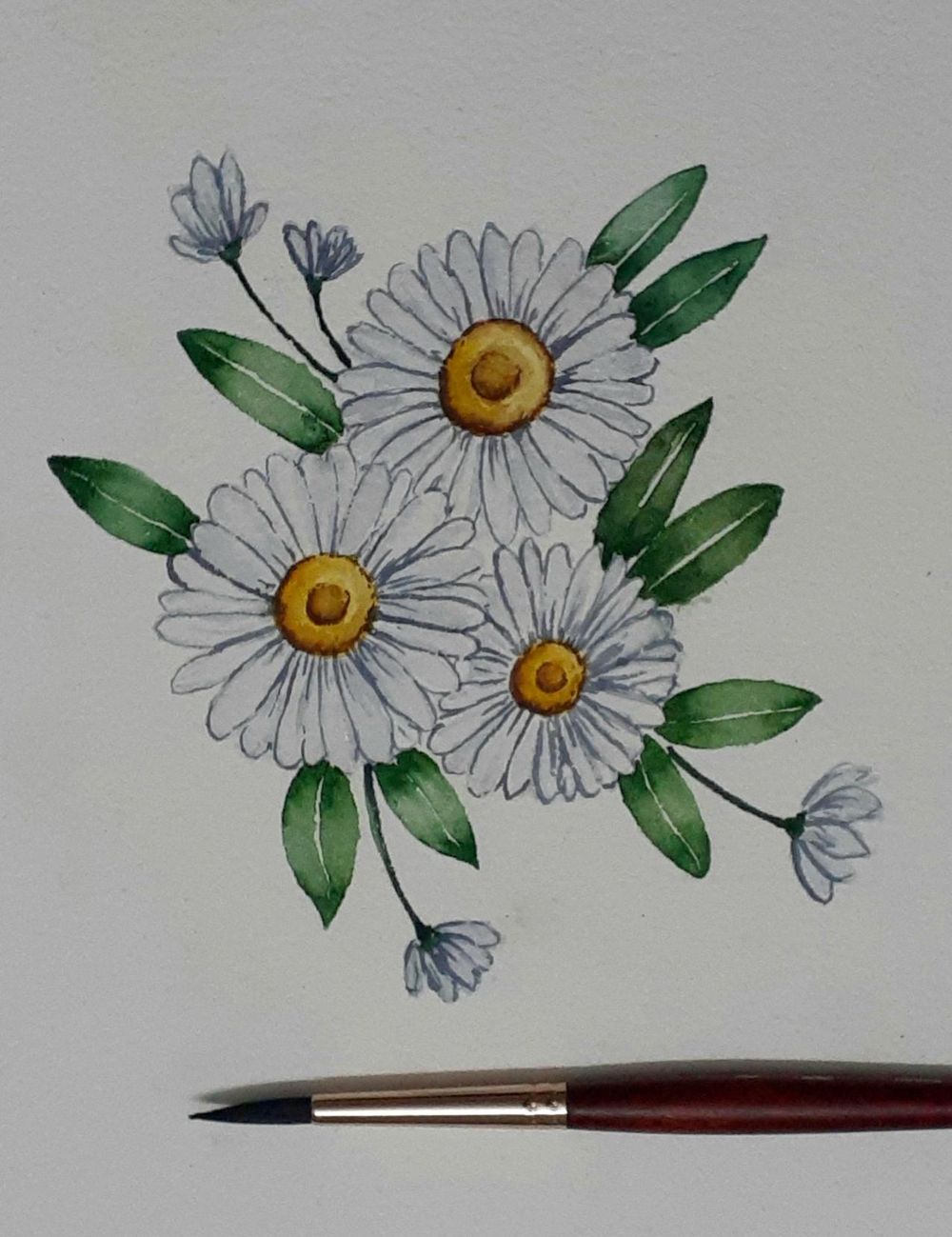 White Daisies - image 2 - student project