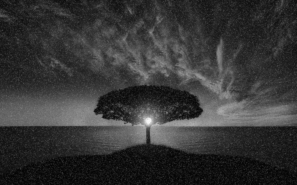 Sunset tree - image 1 - student project