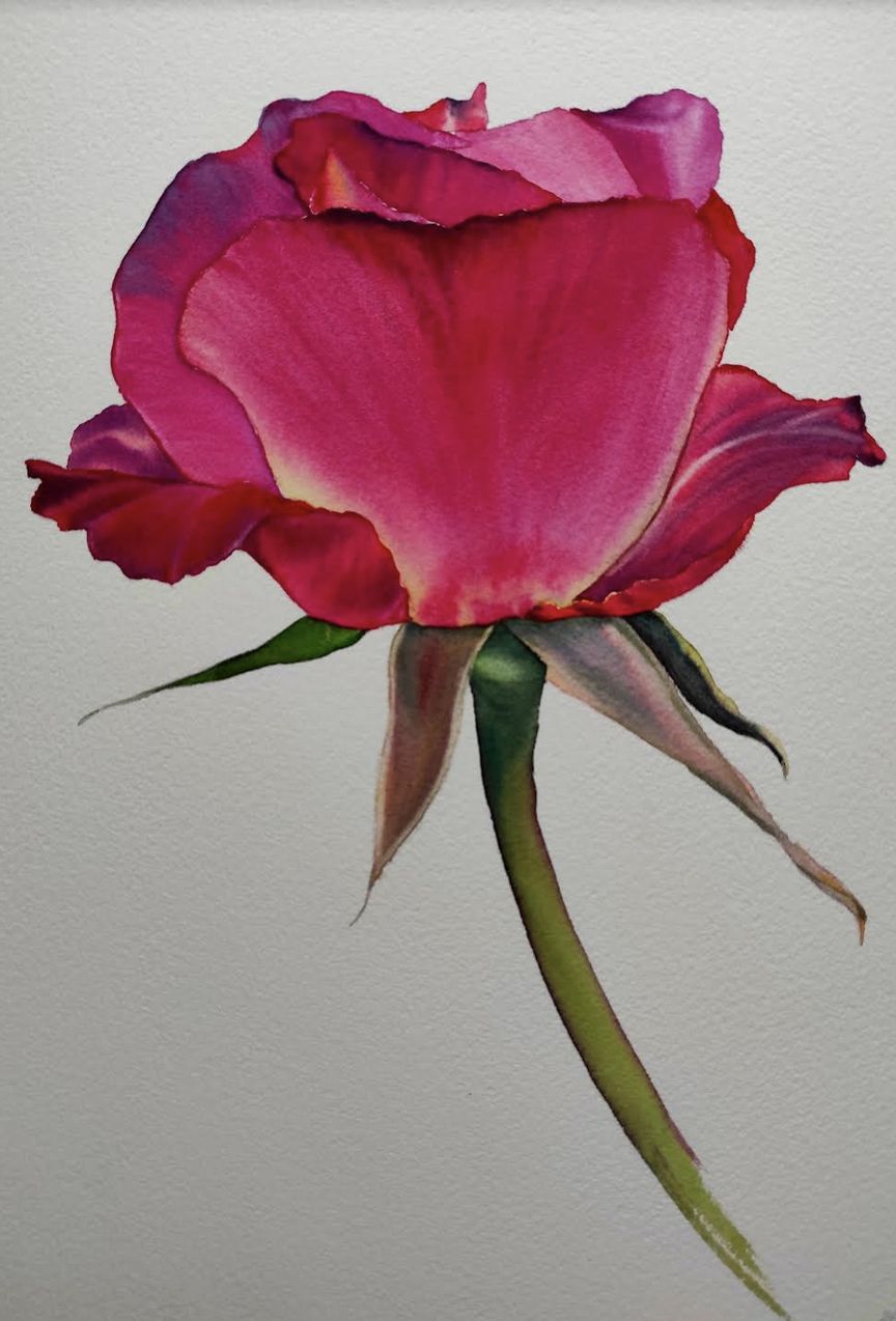 Roses - image 2 - student project