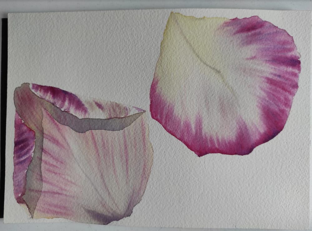 Roses - image 1 - student project