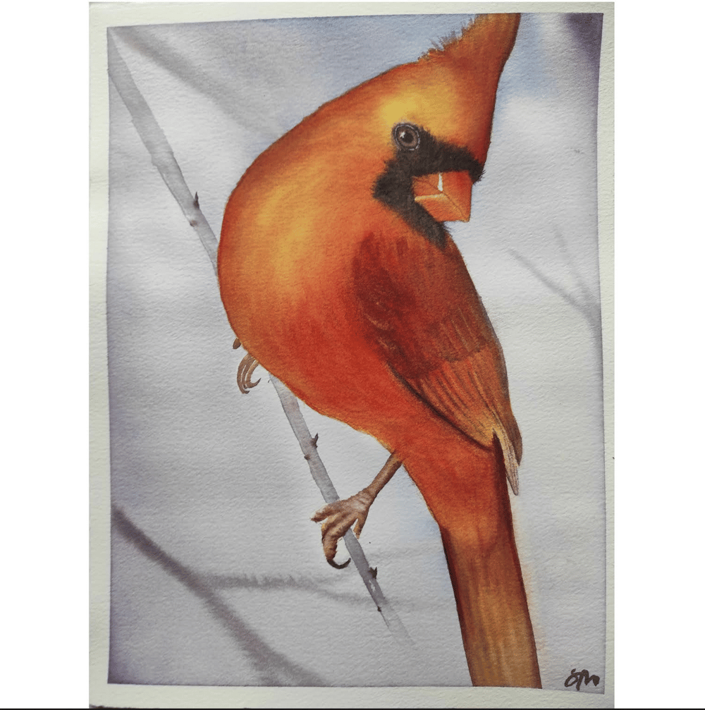 Bird class - image 6 - student project