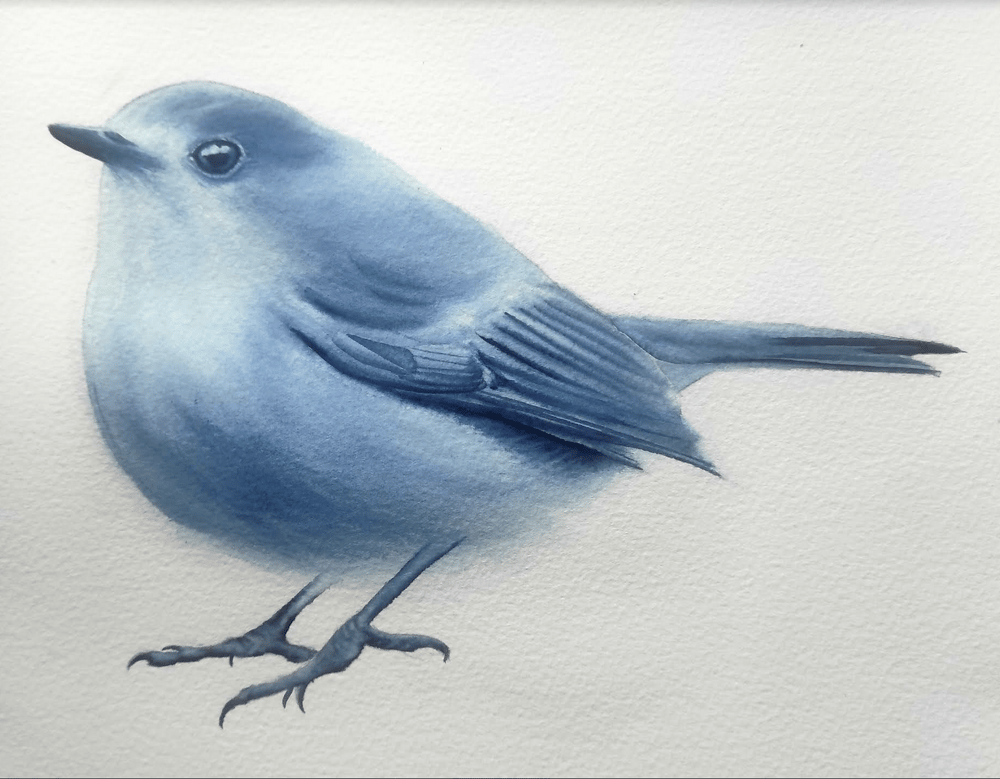 Bird class - image 2 - student project