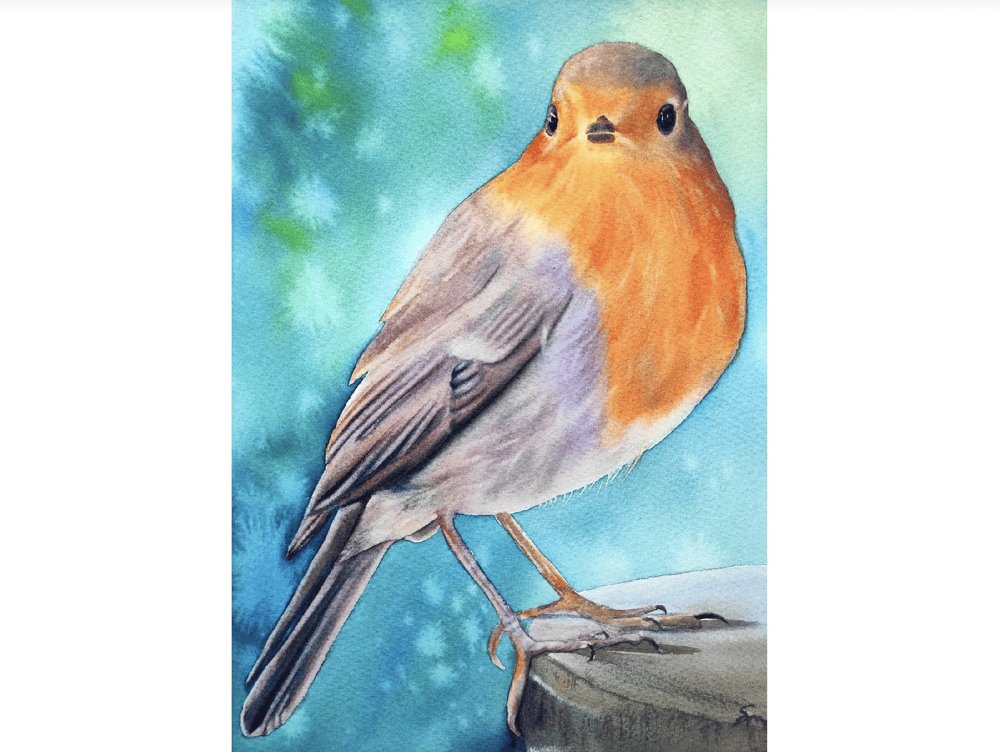 Bird class - image 3 - student project
