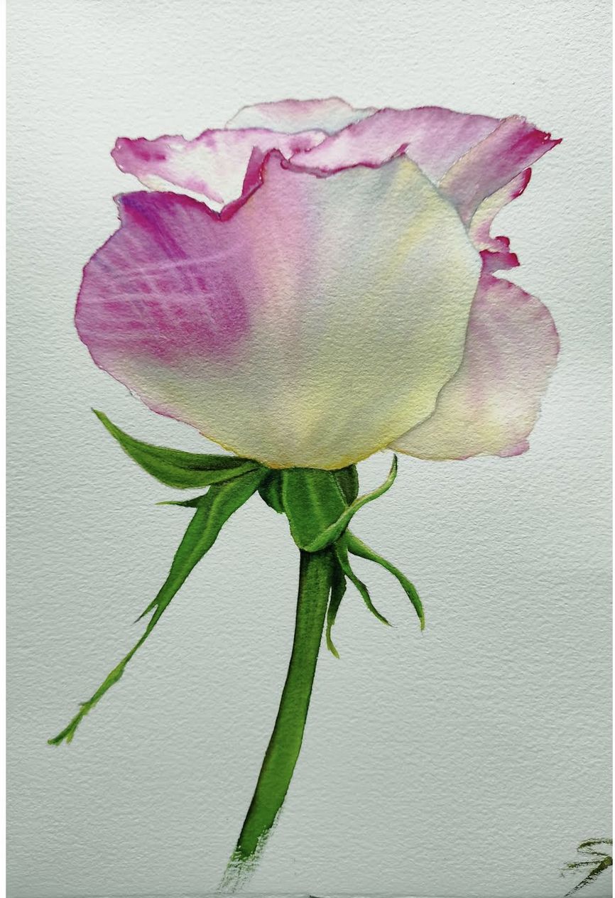 Roses - image 4 - student project
