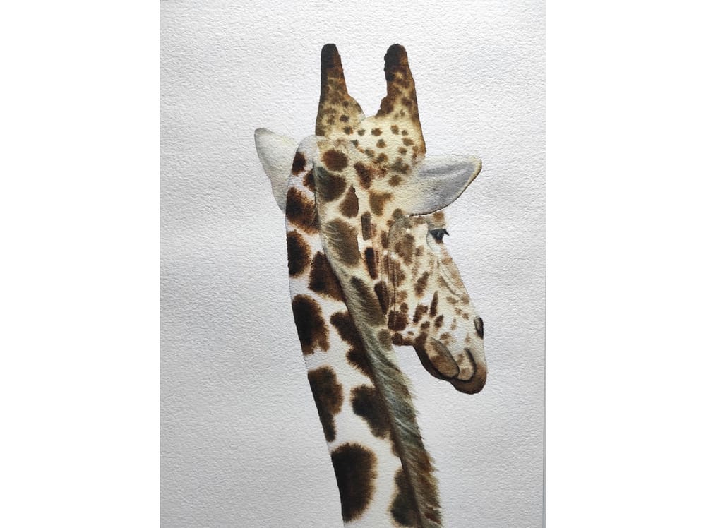 Giraffe - image 1 - student project