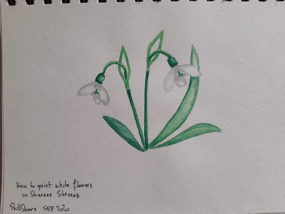 good exercise - image 3 - student project