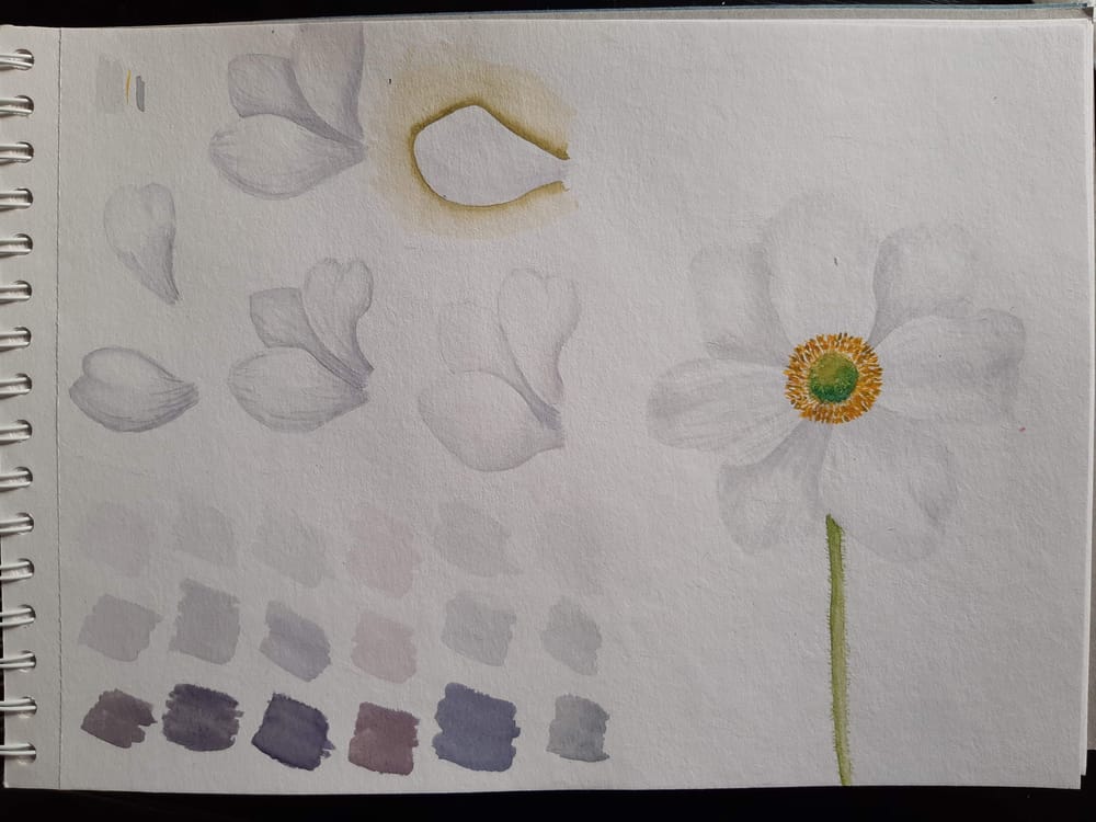 good exercise - image 1 - student project