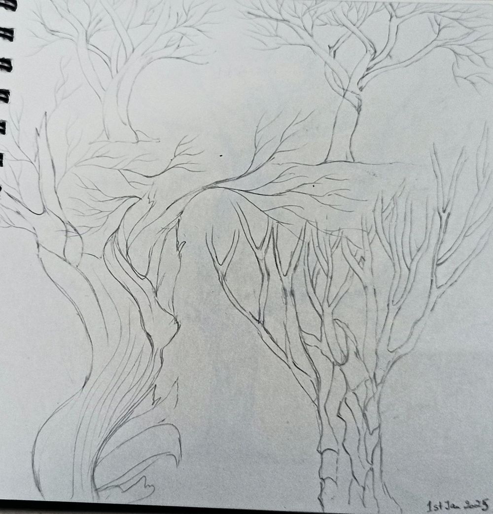 Drawing Deciduous Trees - image 1 - student project