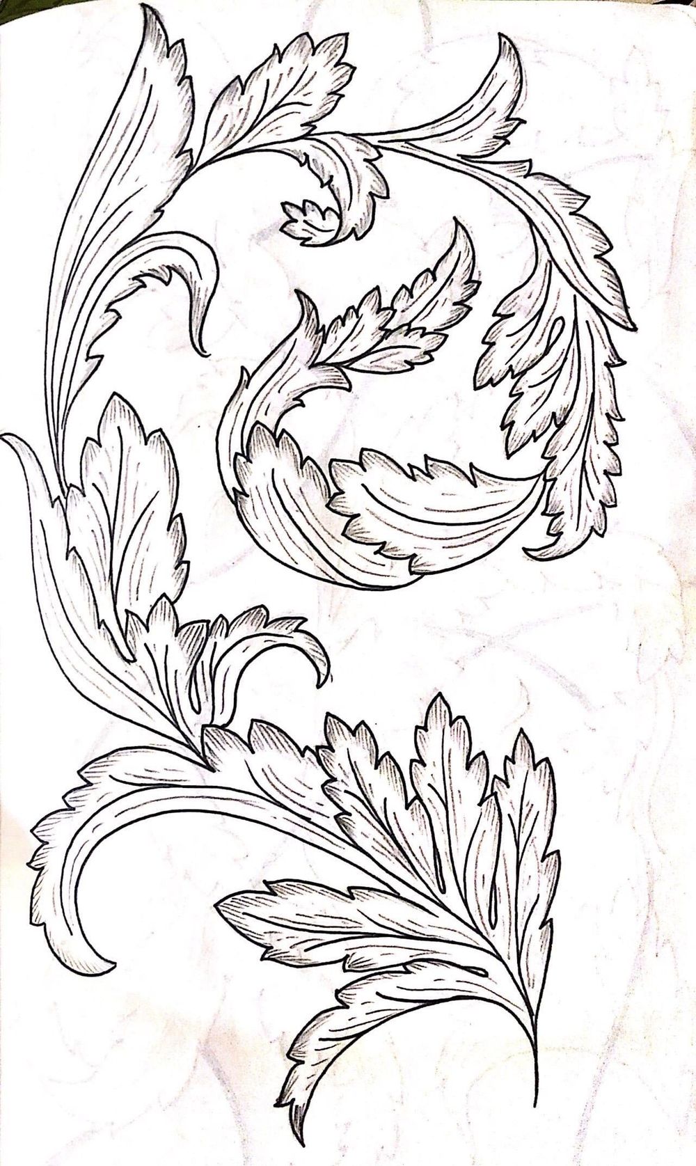 Acanthus Patterns Skillshare Student Project