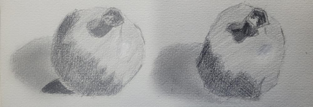 Pomegranade - image 1 - student project