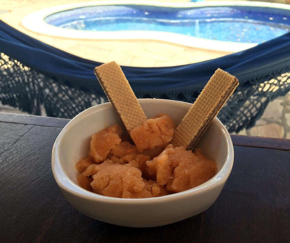 my yummy lemon italian ice! - image 2 - student project
