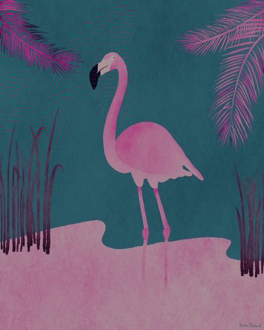 Pink Flamingo - image 4 - student project