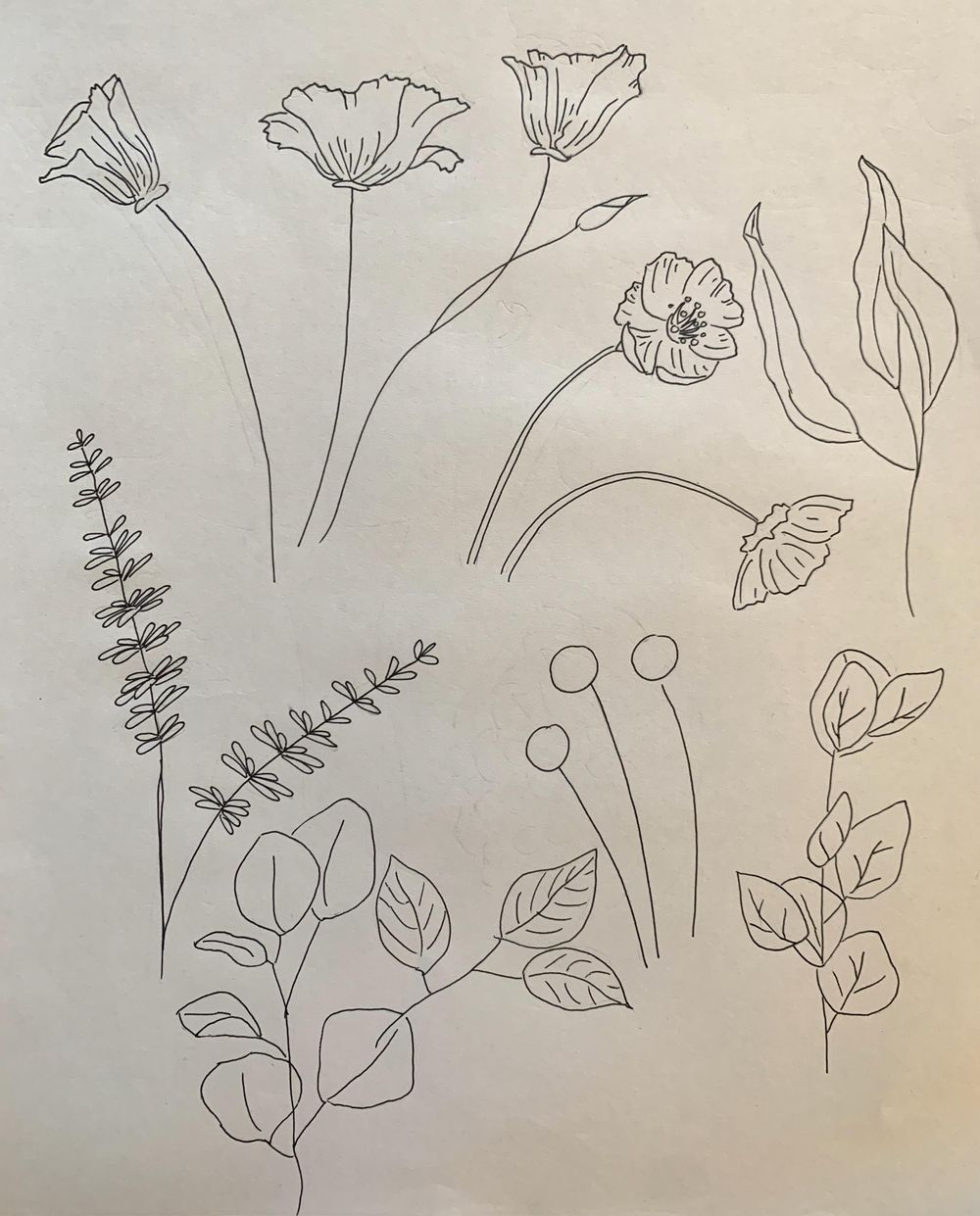 Poppy Bouquet :-) - image 3 - student project