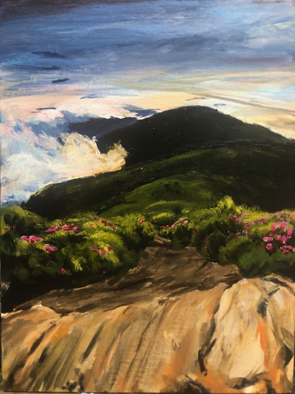 My first landscape! Plus a few more - image 5 - student project