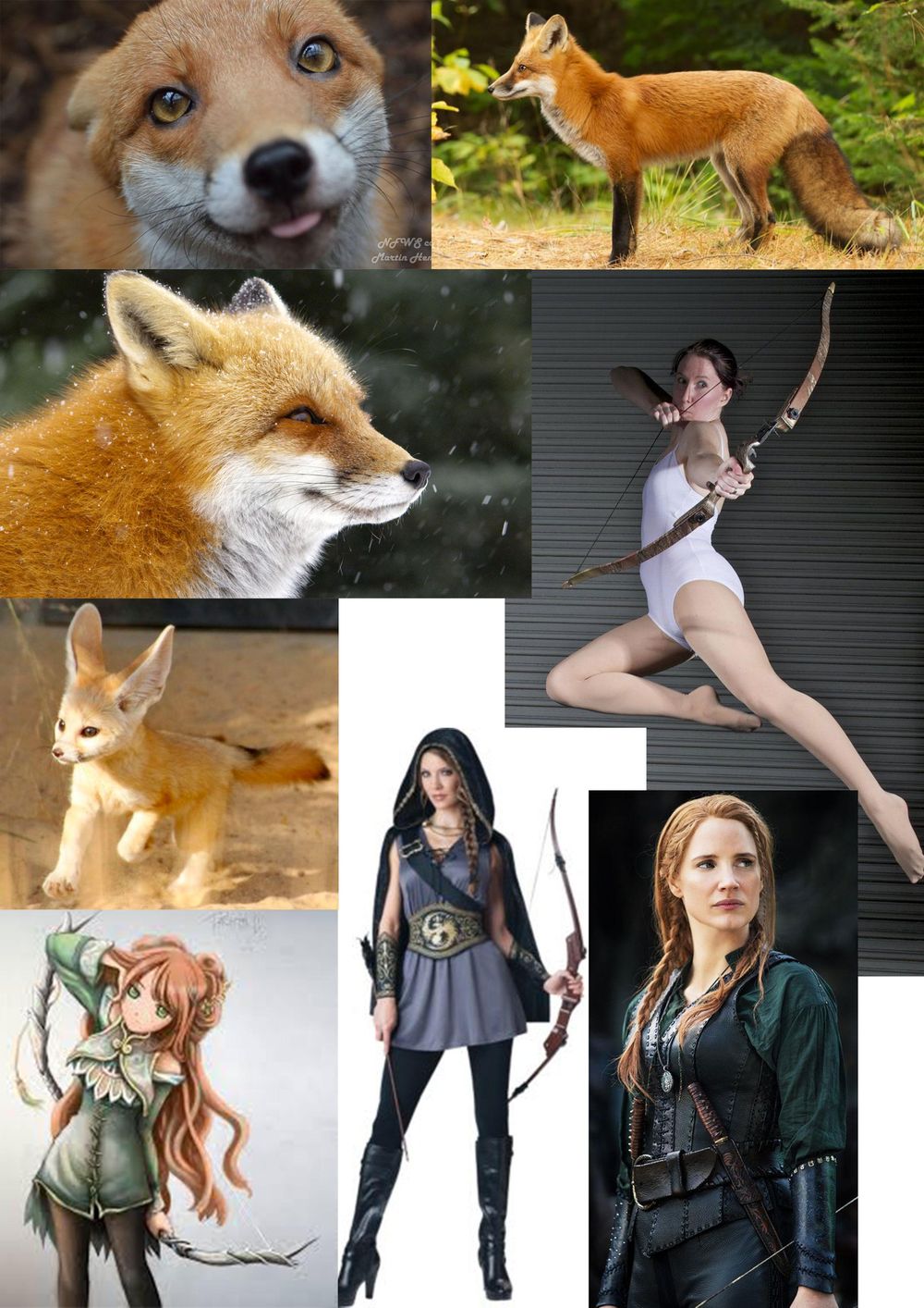 Adventure Character - Fox - image 5 - student project