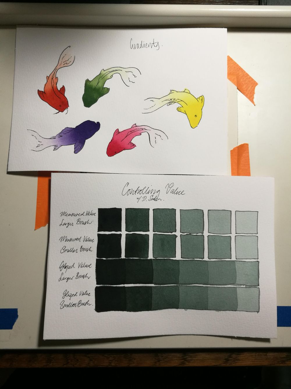 Water control class w Denise Soden - image 1 - student project