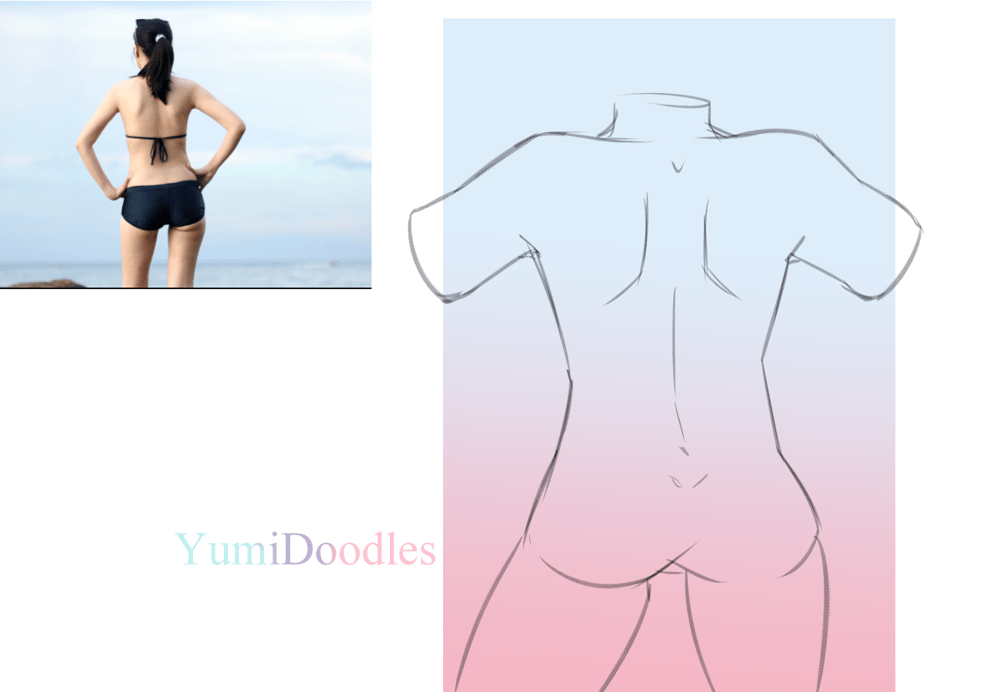 Female Torso Practice + 3 Torso View - image 2 - student project