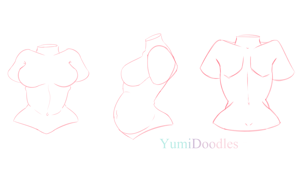 Female Torso Practice + 3 Torso View - image 6 - student project