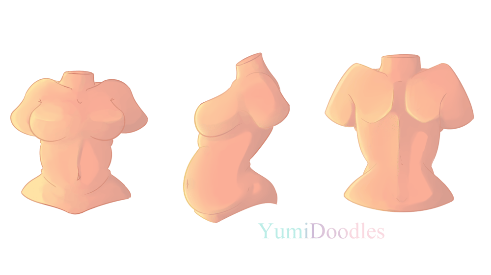 Female Torso Practice + 3 Torso View - image 8 - student project