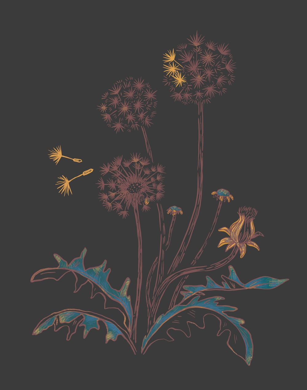 Wildflowers - image 2 - student project