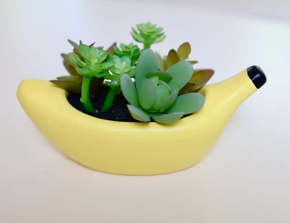 Quirky Banana Planter - image 2 - student project