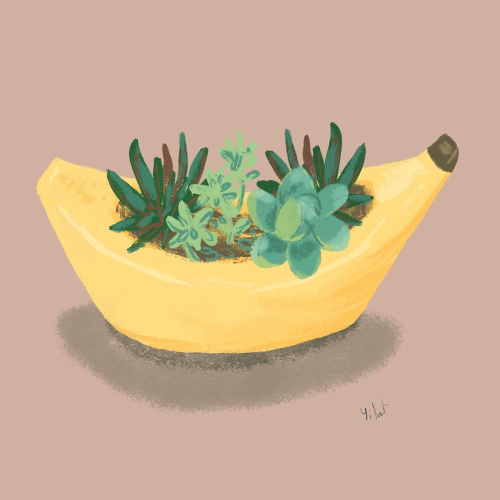 Quirky Banana Planter - image 1 - student project