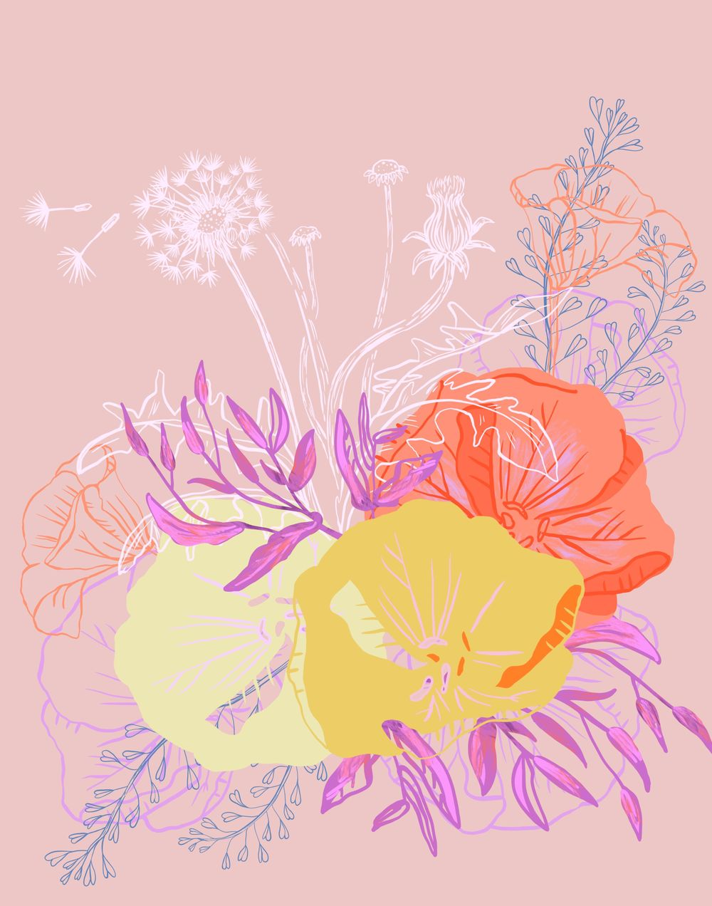 Wildflowers - image 3 - student project