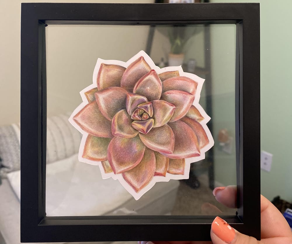 Colored pencil succulent - image 1 - student project