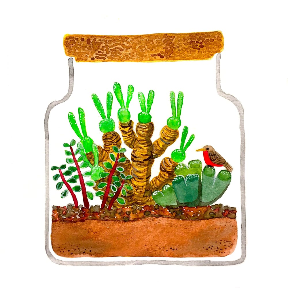 Succulent Terrarium - image 1 - student project