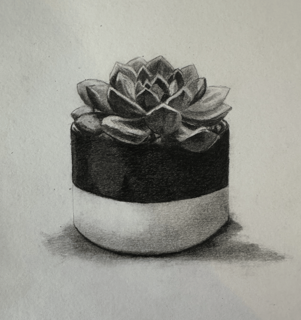 Graphite Succulent - image 1 - student project