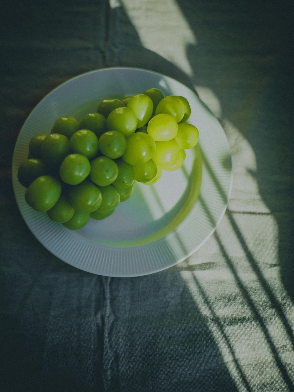 My first trial of dark food photography! - image 3 - student project