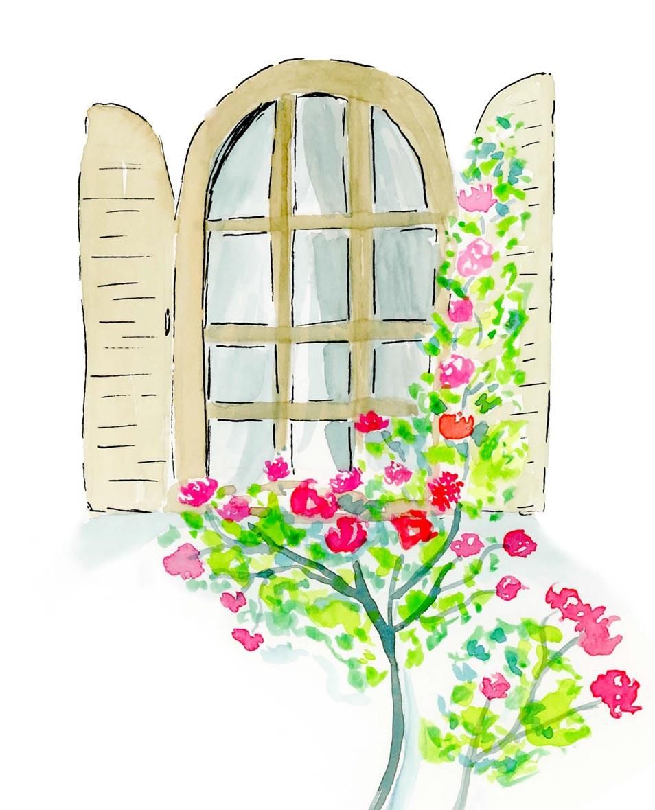 Window In Provence, France: Second Time Taking Class - image 1 - student project