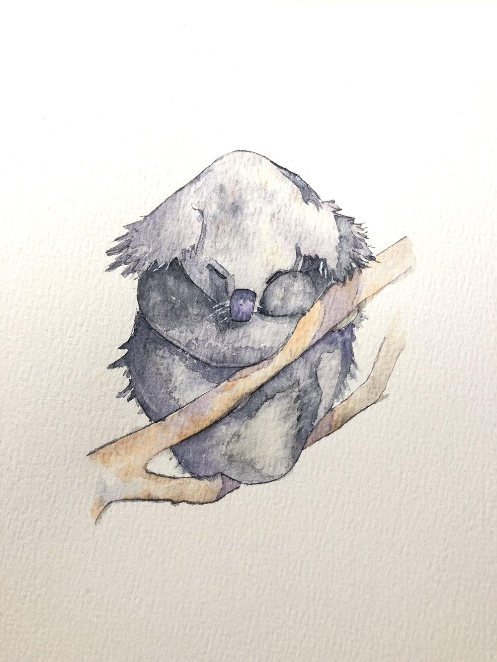 Koala Watercolor | Skillshare Student Project