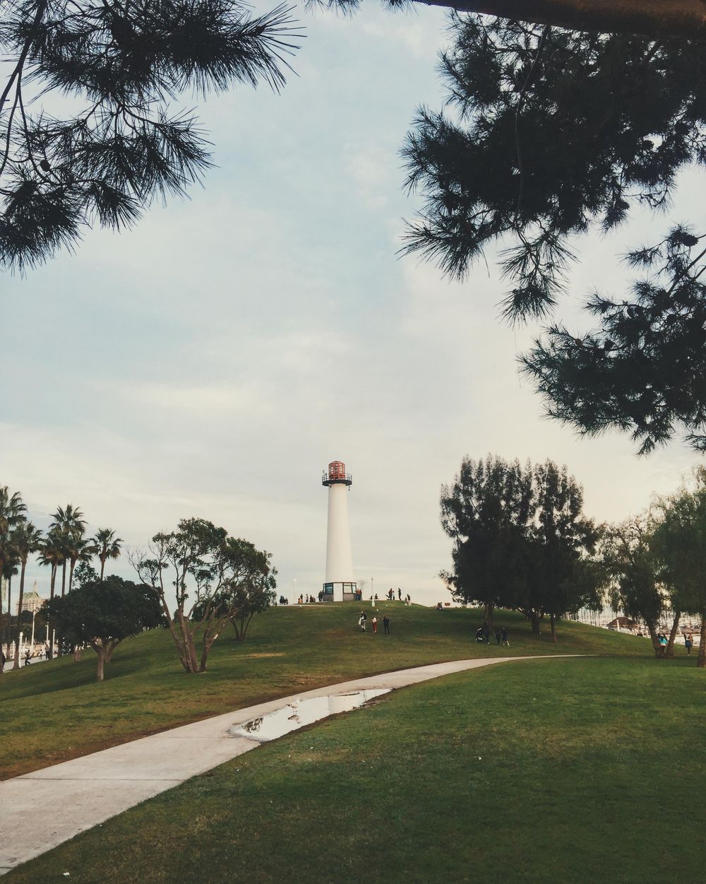 Long Beach California - image 4 - student project