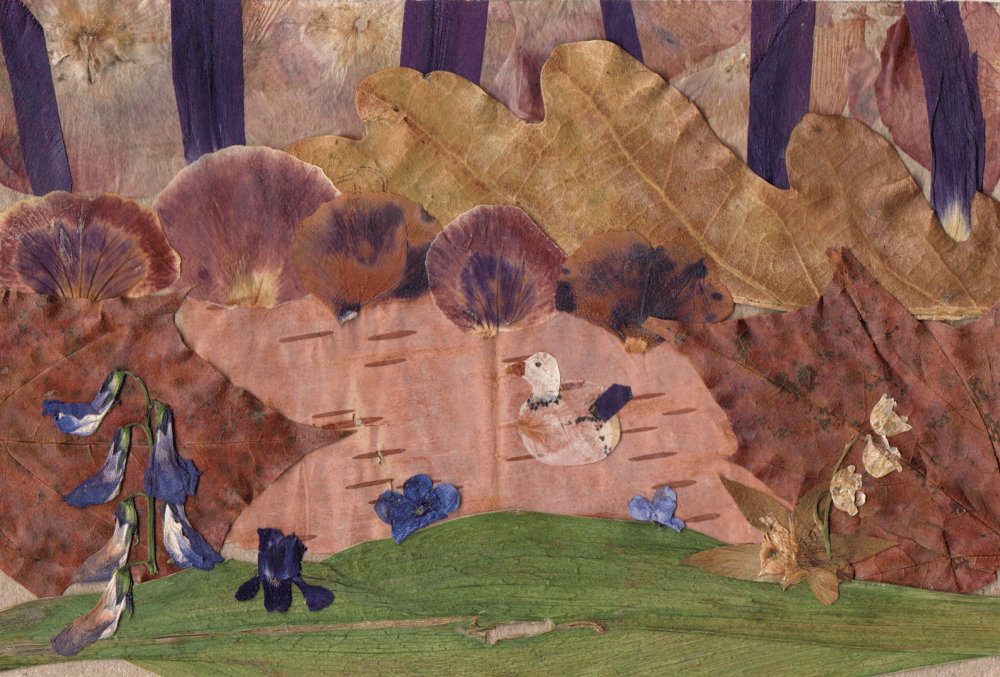 Completed Assignment - Oshibana - image 1 - student project