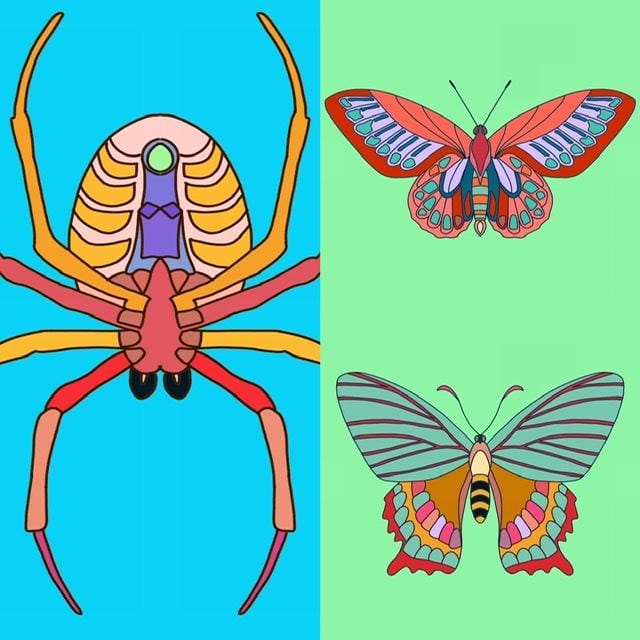 Creepy Crawling Fun - image 2 - student project