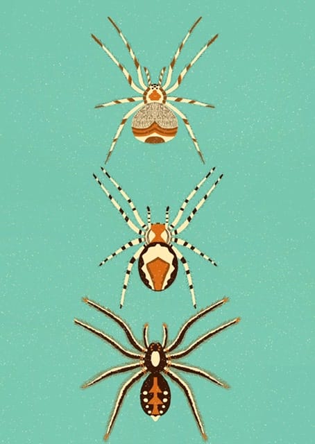 Creepy Crawling Fun - image 3 - student project