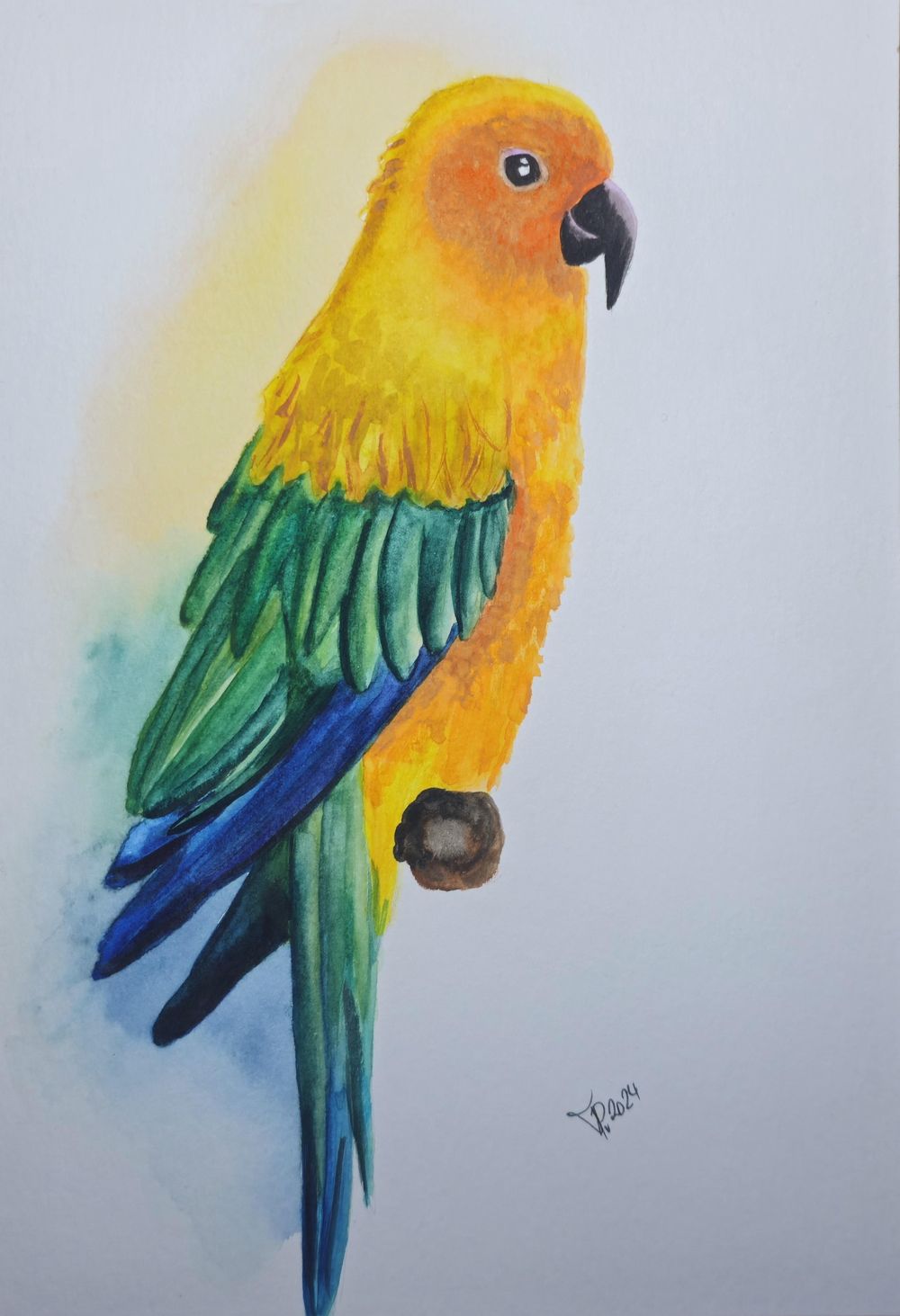 parrot - image 1 - student project