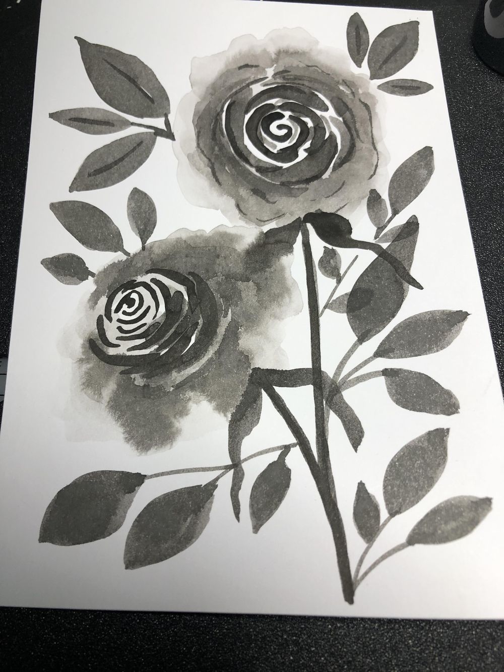 Black Botanicals - image 1 - student project