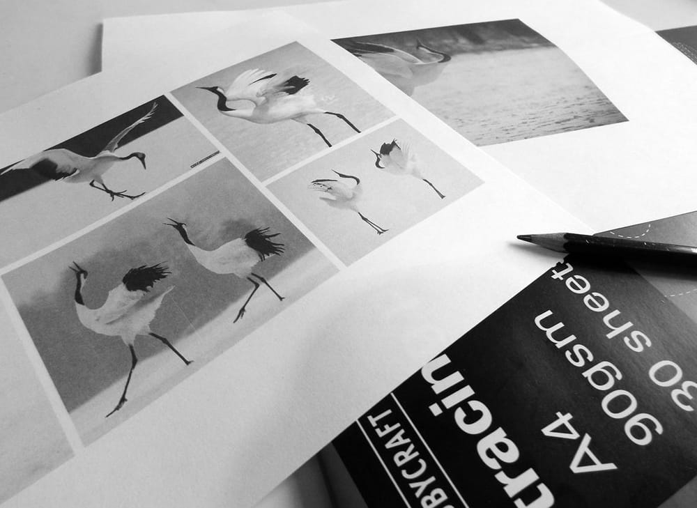 Dancing crane mark - image 1 - student project