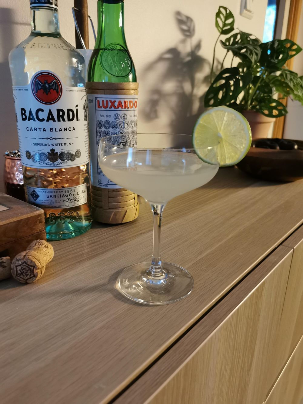 Daiquiri - image 1 - student project