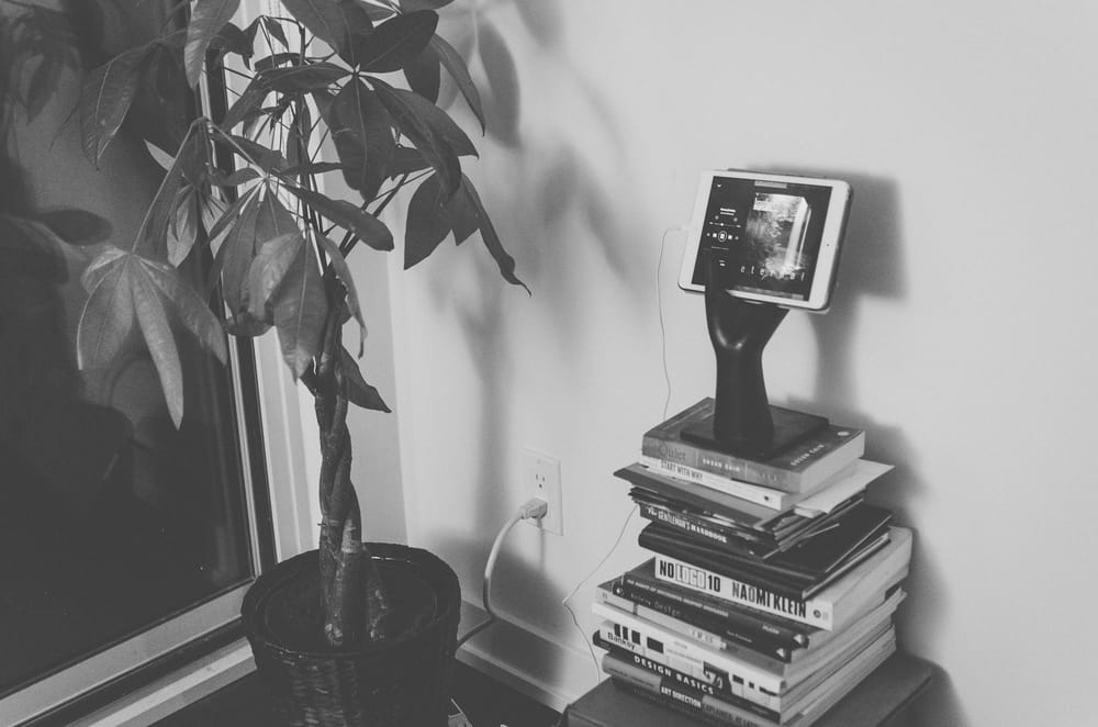 Succulents, Tropicals, and one (very dead) Money Tree - image 1 - student project