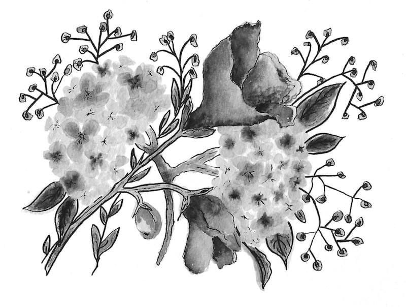 Sweet Peas & Hydrangeas - image 1 - student project