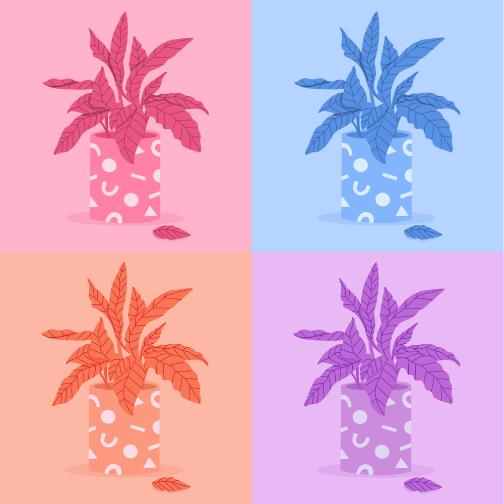 Colour Lover - image 2 - student project
