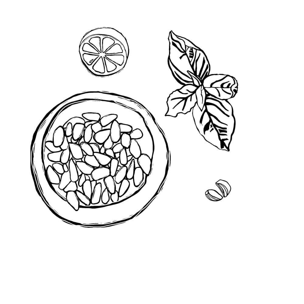 Summer Saute - image 3 - student project