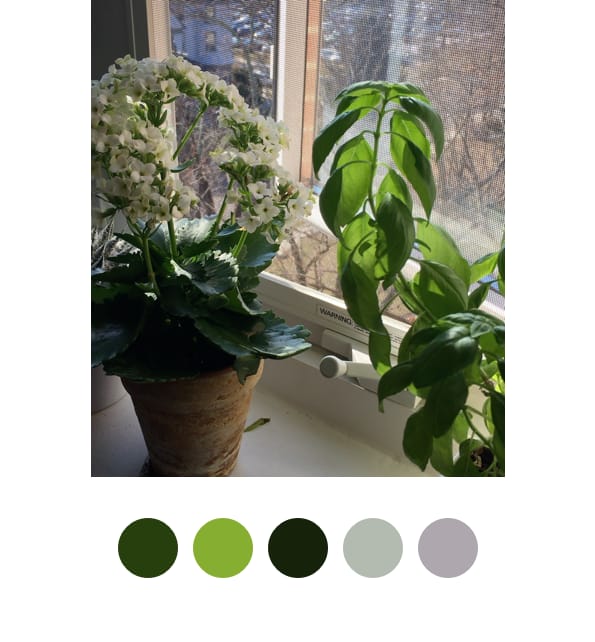Color Palette Practice - image 5 - student project