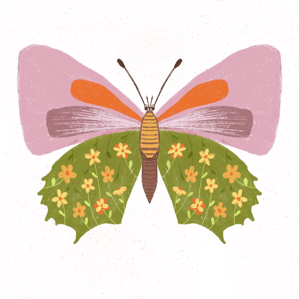 Butterflies and moths - image 4 - student project